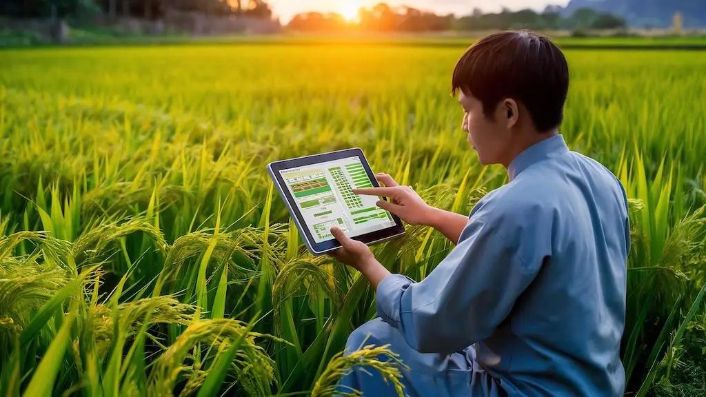 Agriculture Consultancy Application Based on AI